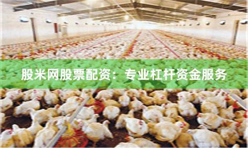股米网股票配资：专业杠杆资金服务
