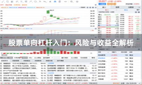 股票单向杠杆入门：风险与收益全解析